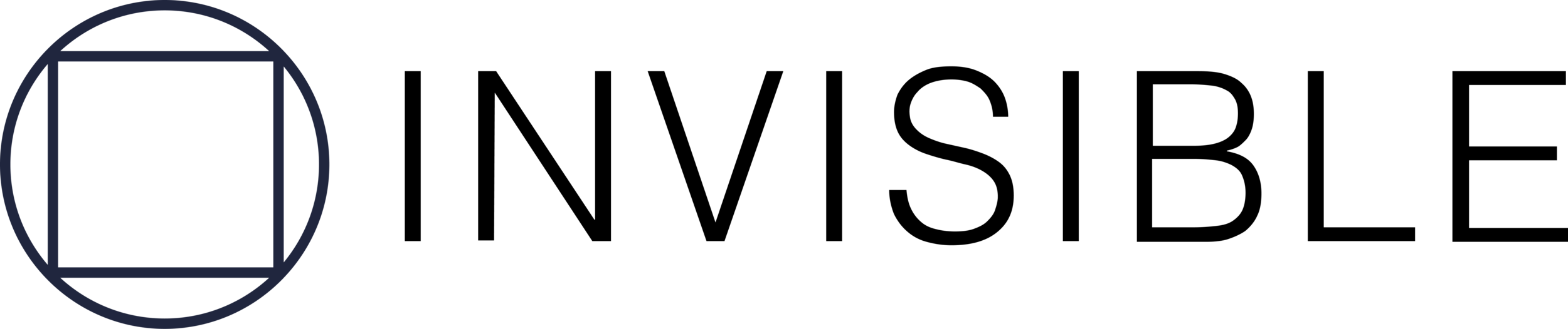Invisible Logo